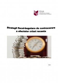 Strategii fiscal bugetare de contracarare a crizelor financiare - Pagina 1