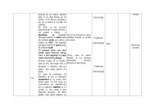 Fracții - reprezentări prin desene, terminologie specifică (fracție, numărător, numitor) - Pagina 4