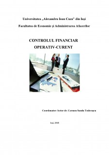 Controlul financiar operativ-curent - Pagina 1