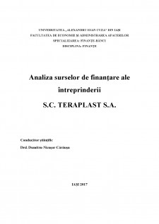 Analiza surselor de finanțare ale întreprinderii SC Teraplast SA - Pagina 1