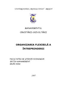 Managementul cercetării-dezvoltării - organizarea flexibilă a întreprinderii - Pagina 1
