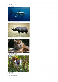 Endangered animals - Pagina 4