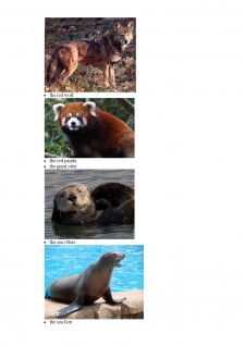 Endangered animals - Pagina 5