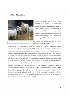 Proiectarea stației de pasteurizare lapte în vederea obținerii iaurtului de capră cu o capacitate de 600l pe oră - Pagina 5