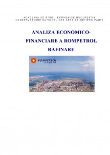 Analiza economico-financiare a Rompetrol Rafinare - Pagina 1
