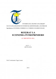 Economia întreprinderii - SC Drugetur SRL - Pagina 1