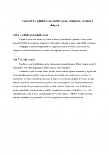 Economia întreprinderii - SC Drugetur SRL - Pagina 5