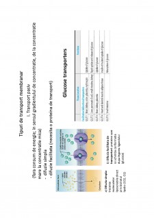 Suport de curs biologie celulară - Pagina 13