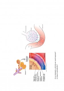 Suport de curs biologie celulară - Pagina 16