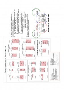 Suport de curs biologie celulară - Pagina 35