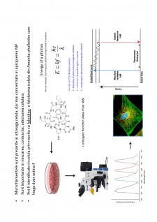 Suport de curs biologie celulară - Pagina 58