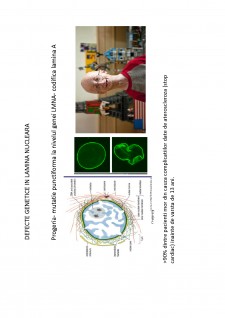 Suport de curs biologie celulară - Pagina 63