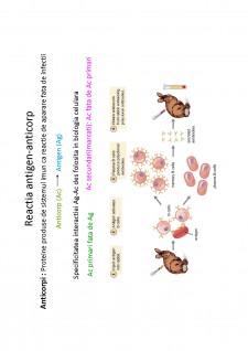 Suport de curs biologie celulară - Pagina 82