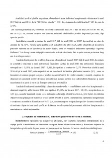 Analiza rentabilității Bulboaca SA - Pagina 4