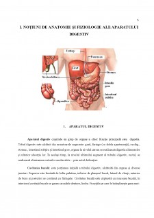 Îngrijirea pacientului cu ulcer gastric - Pagina 5