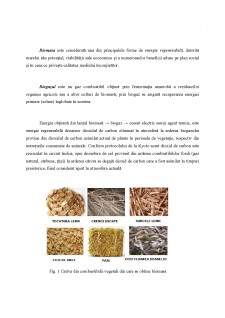 Biomasa și producerea de biogaz - Pagina 2