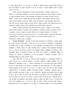 Studiu de Caz - Meli Melo - Pagina 4