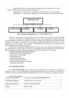 Plan de afaceri - SC Cori Forest SRL - Pagina 5