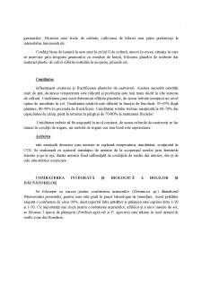 Tehnologia de cultură în sistem ecologic a castraveților (Cucumis sativus) în seră - Pagina 4