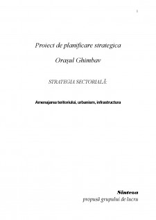 Proiect de planificare strategică - Orașul Ghimbav - Pagina 1