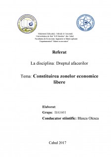 Constituirea zonelor economice libere - Pagina 1