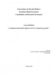 Conținutul și domeniul de aplicare al IAS 21 - Impozite pe profit - Pagina 1