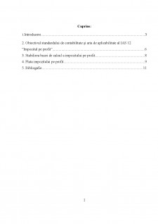 Conținutul și domeniul de aplicare al IAS 21 - Impozite pe profit - Pagina 2