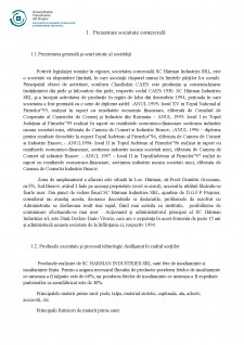Analiza sistemelor de producție SC Hărman Industries SRL - Pagina 3