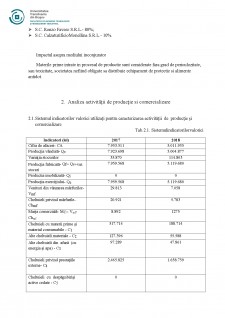Analiza sistemelor de producție SC Hărman Industries SRL - Pagina 4