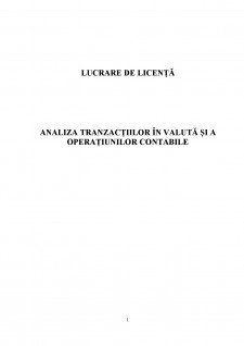 Analiza tranzacțiilor în valută și a operațiunilor contabile - Pagina 1