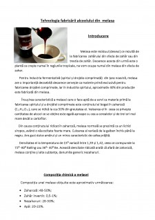Tehnologia fabricării alcoolului din melasa - Pagina 2