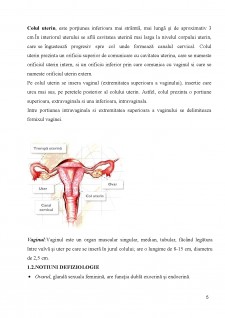 Rolul asistenței medicale în îngrijirea pacienților cu cancer de col uterin - Pagina 5