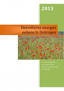 Dezvoltarea energiei eoliene în Dobrogea - Pagina 1