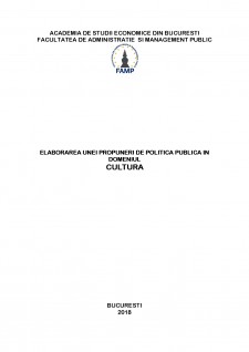 Elaborarea unei propuneri de politică publică în domeniul cultură - Pagina 1