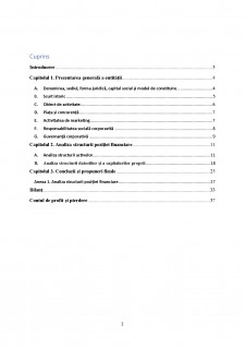 Analiza structurii poziției financiare la S.N.G.N. ROMGAZ SA - Pagina 2