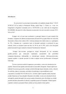 Analiza structurii poziției financiare la S.N.G.N. ROMGAZ SA - Pagina 3