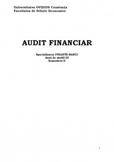 Audit financiar - Pagina 1