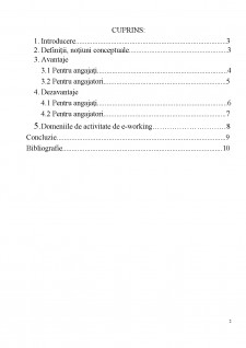 E-WORKING - caracteristici și modalități de utilizare - Pagina 2