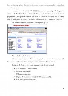 E-WORKING - caracteristici și modalități de utilizare - Pagina 4