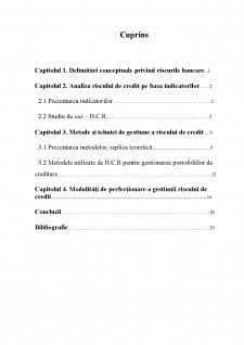 Riscul de credit - Studiu de caz BCR - Pagina 2