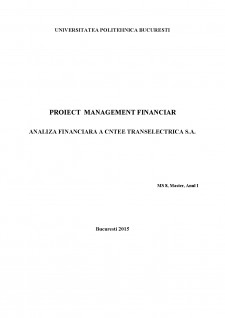 Analiza financiară a CNTEE Transelectrica SA - Pagina 1