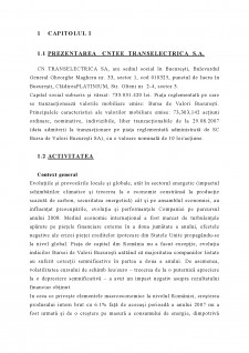 Analiza financiară a CNTEE Transelectrica SA - Pagina 2