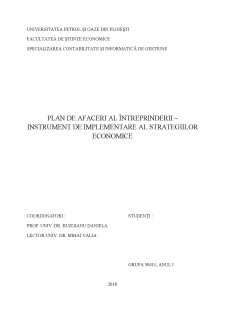 Plan de afaceri al întreprinderii - instrument de implementare al strategiilor economice - Pagina 1