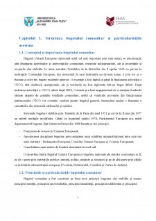 Bugetul comunitar și particularitățile sale - Procesul bugetar comunitar - Pagina 4