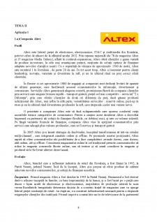 Economia și gestiunea riscului - compania Altex - Pagina 3