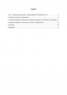 Analiza surselor de finanțare ale SC Bermas SA - Pagina 2