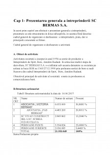 Analiza surselor de finanțare ale SC Bermas SA - Pagina 3