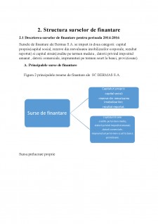 Analiza surselor de finanțare ale SC Bermas SA - Pagina 5