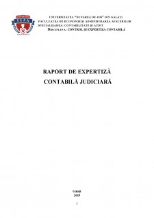 Raport de expertiză contabilă judiciară - Pagina 1
