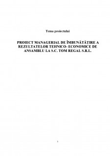 Proiect managerial de îmbunătățire a rezultatelor tehnico-economice de ansamblu la SC Tom Regal SRL - Pagina 3